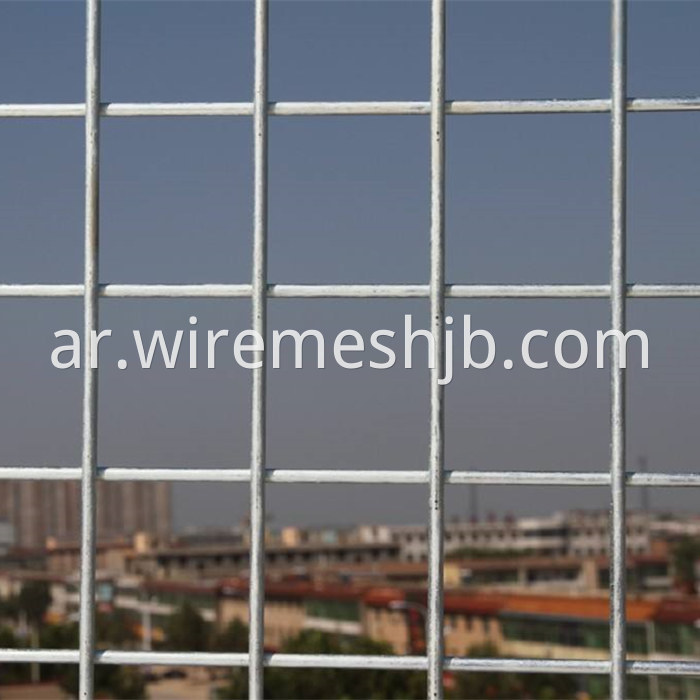 Steel Wire Mesh